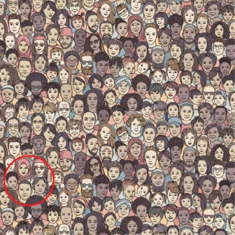 Hersenkraker zoek de kat in de menigte, verbreek jij het record van 4